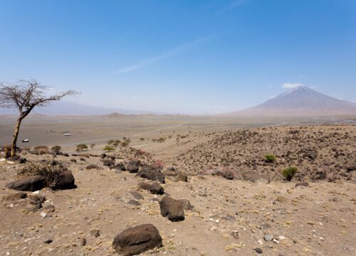 8 Days Mount Kilimanjaro Lemosho Route