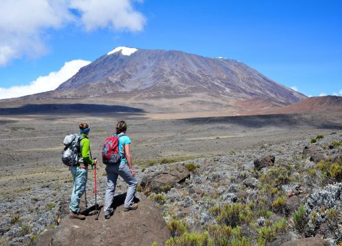 Altitude Acclimatization: The Key to a Successful Kilimanjaro Climb