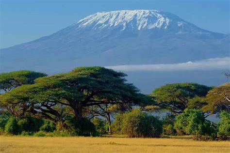Kilimanjaro National Park: Home of Africa’s Highest Mountain