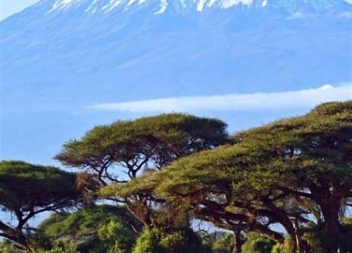 Kilimanjaro Climbing Routes: A Complete Guide to Choosing the Best Route