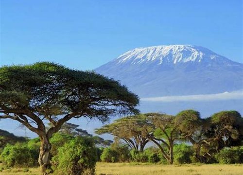 Best Time to Climb Kilimanjaro: Choosing the Right Season for Your Adventure