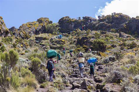 5 DAYS MOUNT KILIMANJARO MARANGU ROUTE