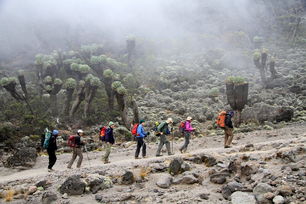 7 DAYS MOUNT KILIMANJARO LEMOSHO ROUTE