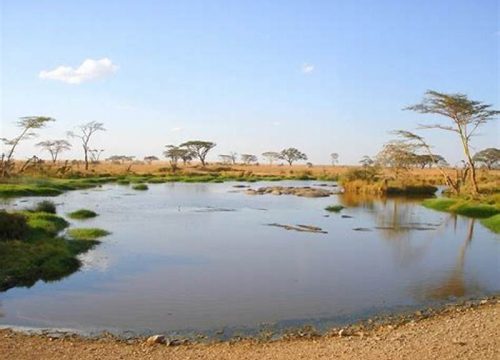 Lake Manyara National Park – Tanzania’s Scenic Wildlife Paradise | Wakati Safari Adventure