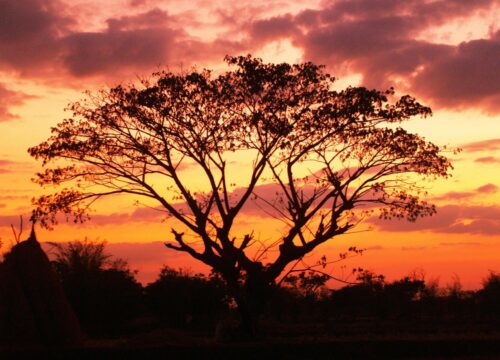6 Days / 5 Nights Luxury Honeymoon Safari