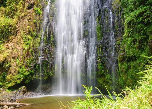 Marangu Waterfalls Day Trip
